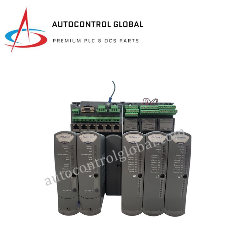 ICS Triplex T9831 | Analog Input Termination Assembly