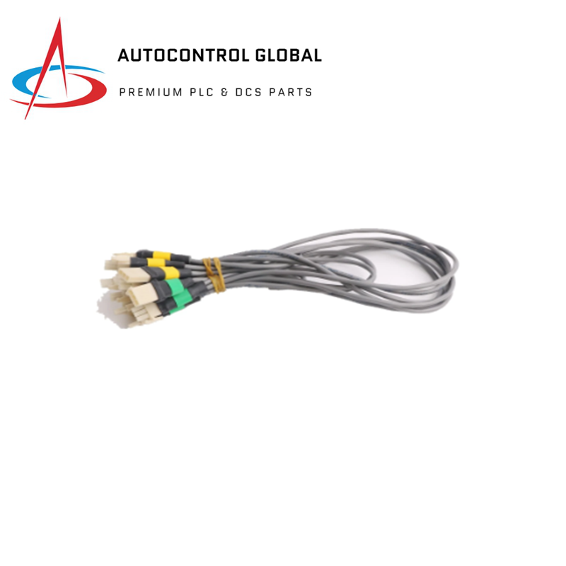 Honeywell 51202329-200 /O Coppia di cavi di collegamento