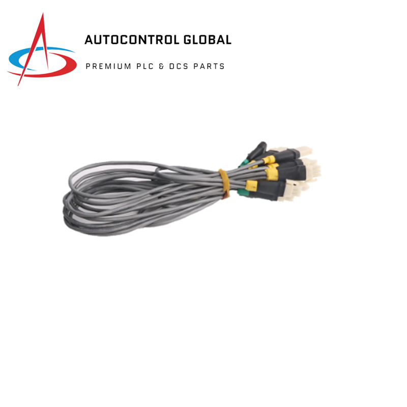 Honeywell 51202329-200 /O Coppia di cavi di collegamento