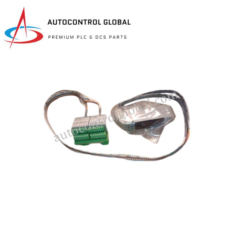 DM500SG FOXBORO | Industrial Control Module with Redundant Power Input