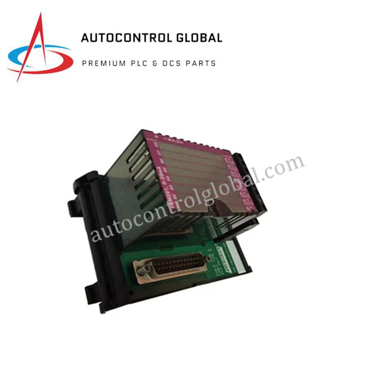 FOXBORO 0303449C | Prosesor Input Analog Tangguh untuk Seri I/A
