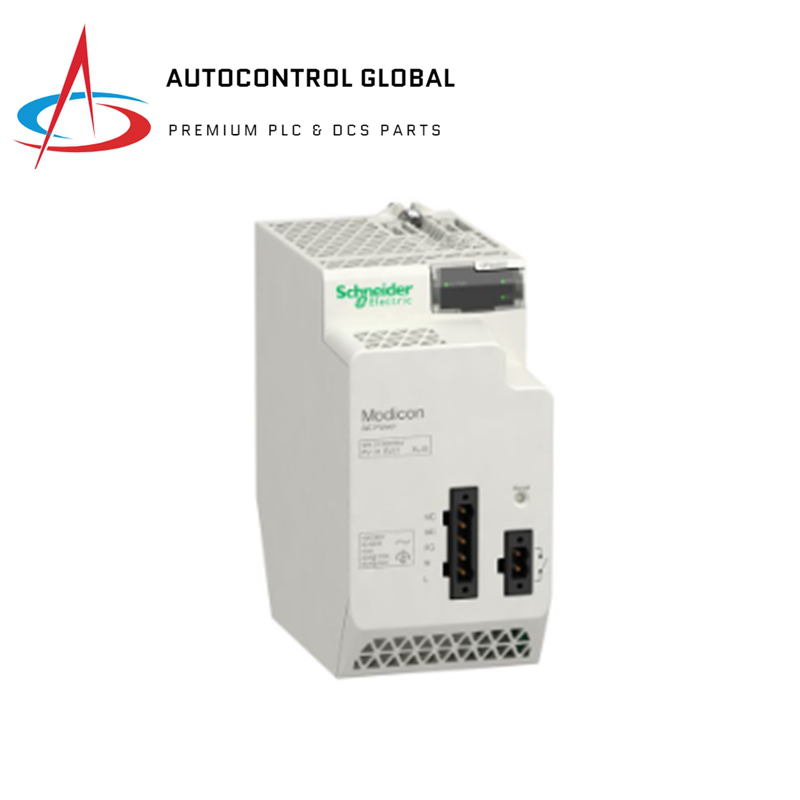 Schneider BMXCPS4002 Güç Kaynağı Modülü