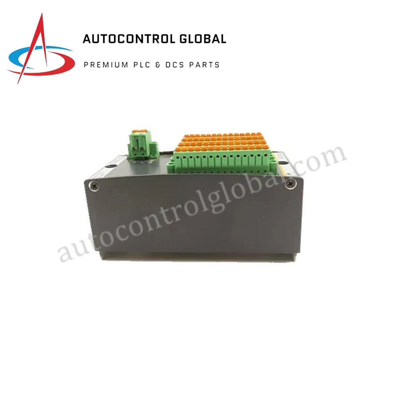 PTAI216 Bachmann | Temperature Input Module