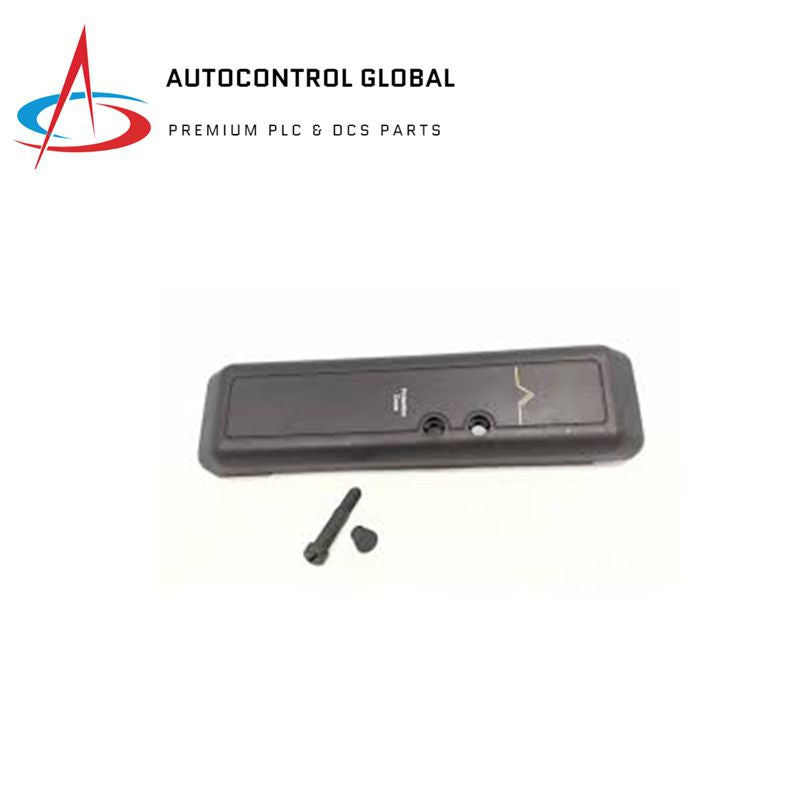 VE6101 | Emerson DeltaV | Carrier Blank Cap