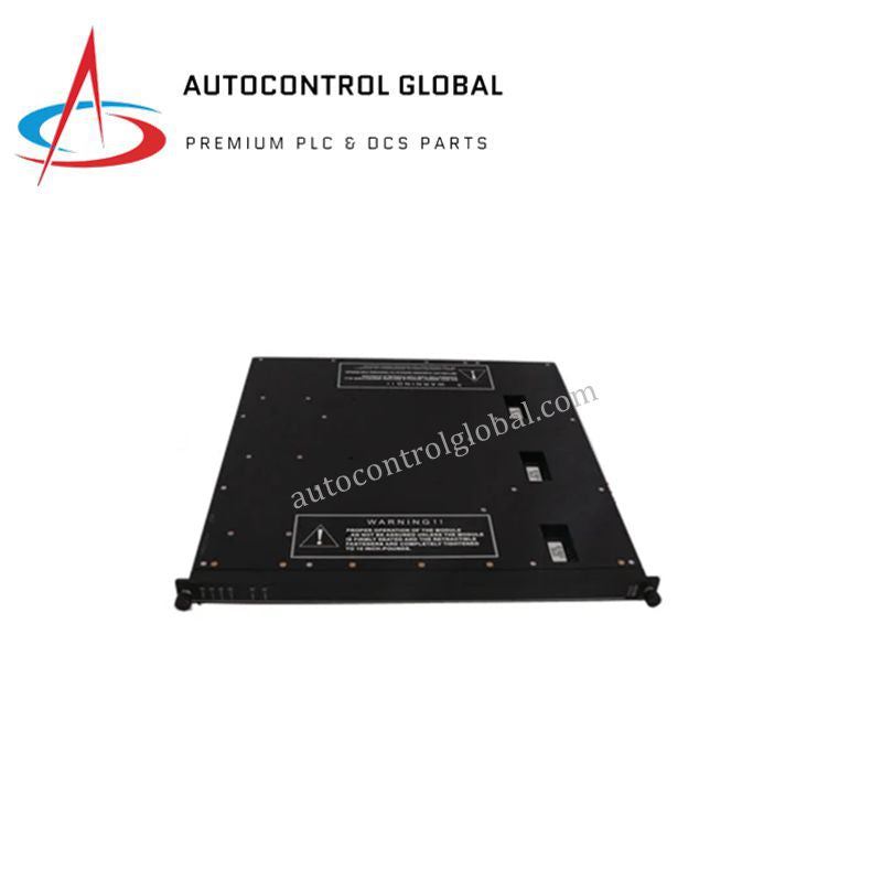 9762-210 TRICONEX | Safety System Termination & I/O Interface