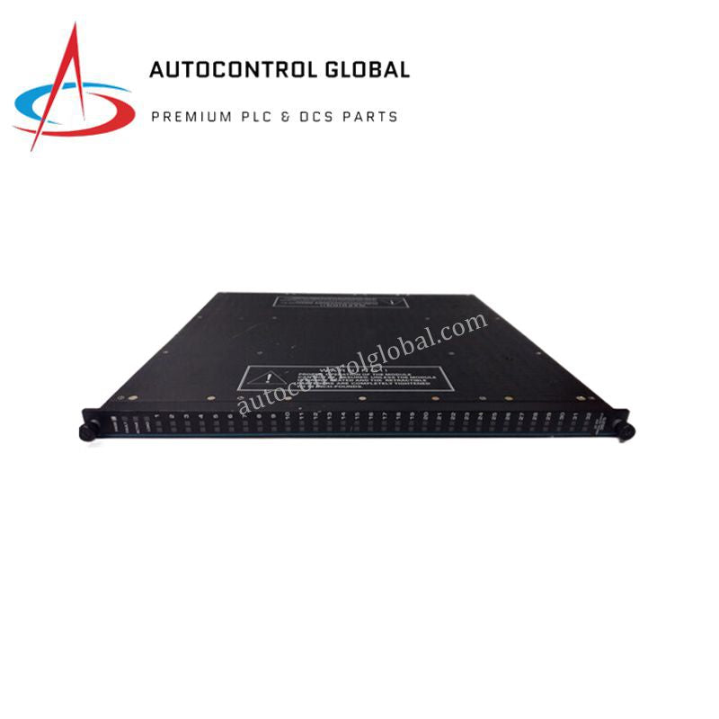 Triconex 3617E Supervised Digital Output Module 48VDC