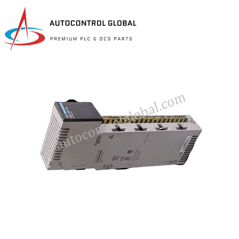 TSXAEM1613 | Schneider 16-Channel RTD Input Module Series 7