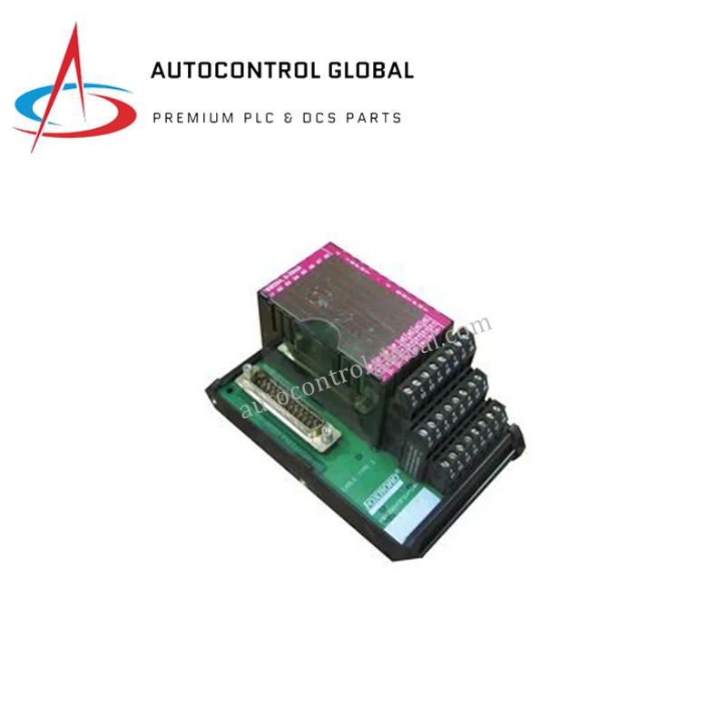 P0916AG FBM204 | Foxboro 16-Channel Input Module for Process Control
