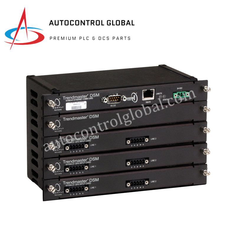 87303-01 | Interfaz de sensor Bently Nevada Trendmaster 2000