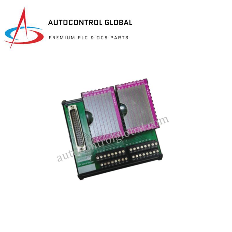 P0916AA | Foxboro | I/A Serie FBM201 Terminalbaugruppe