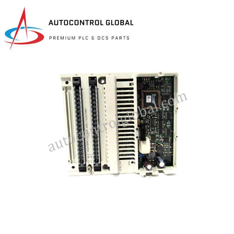 Módulo de Salida Analógica Modicon Momentum 170AAO12000 8 Canales