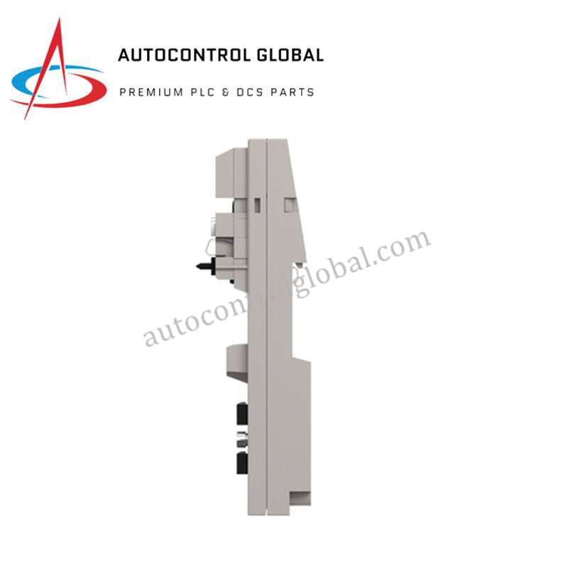 Módulo de Entrada Analógica Schneider 170BAI03600 | Serie Modicon Momentum