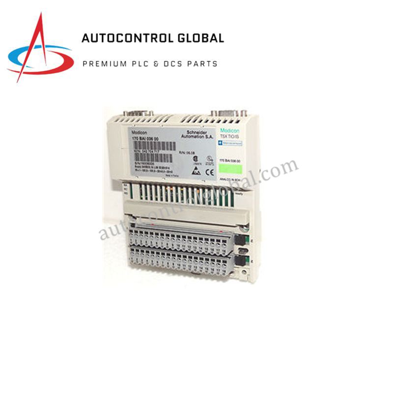 Módulo de Entrada Analógica Schneider 170BAI03600 | Serie Modicon Momentum