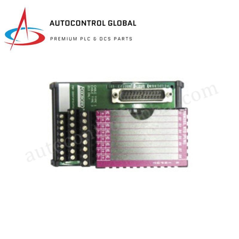 Foxboro P0916AE FBM203 Schneider Electric Terminalmontering