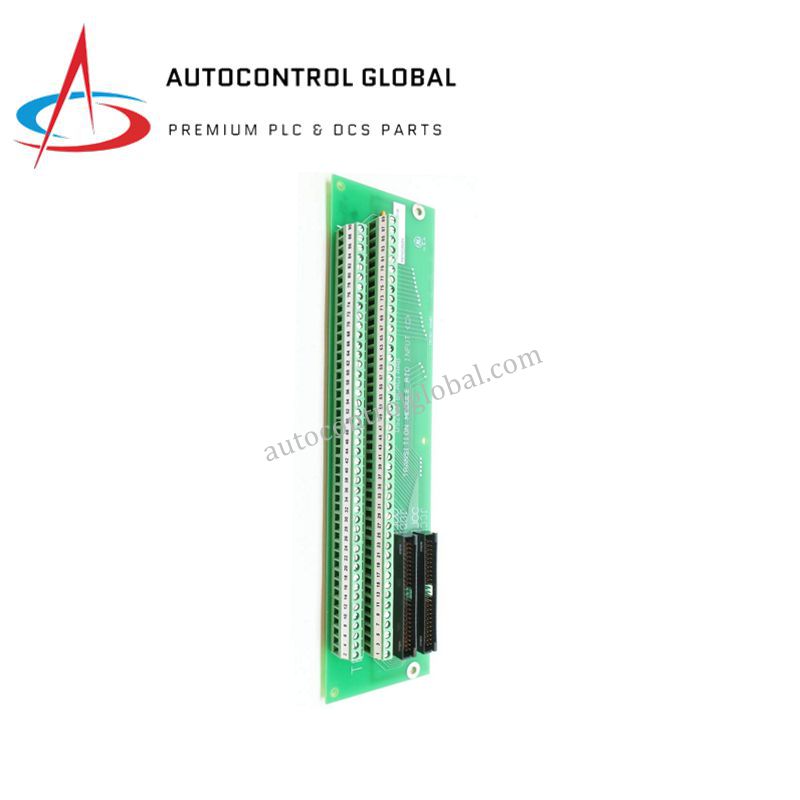 Mark V Terminal Board GE DS200TBCAG1A | RTD Input Module