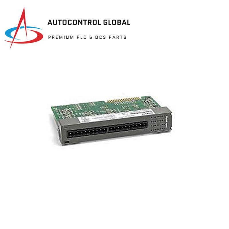 Emerson 396604-03-0 Analog Giriş/Çıkış Modülü