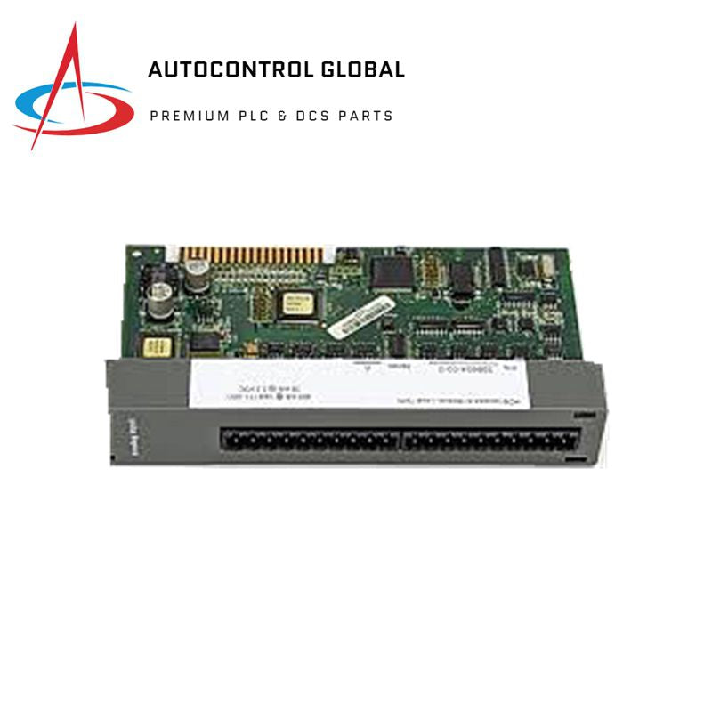 Emerson 396604-03-0 Analog Giriş/Çıkış Modülü