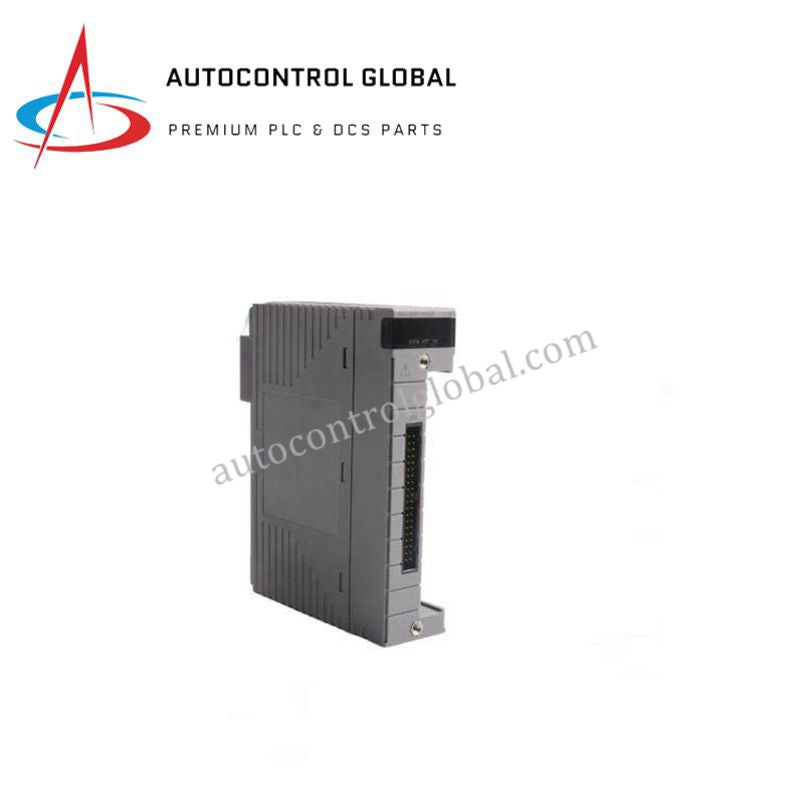 AAM10 S1 YOKOGAWA | Analog Input Module for DCS