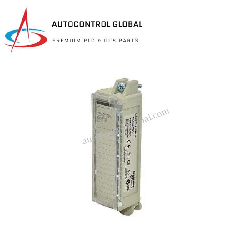 TSXBLY01 Terminal Block by Schneider | Premium PLC Accessory