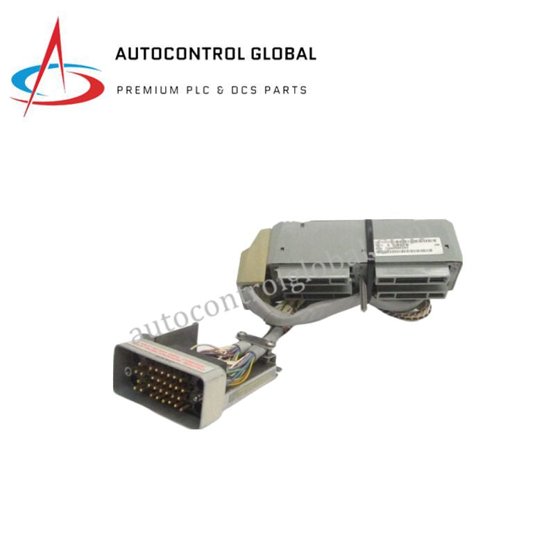 FOXBORO DM700DZ | Reliable Expansion Module with 24 V DC Input