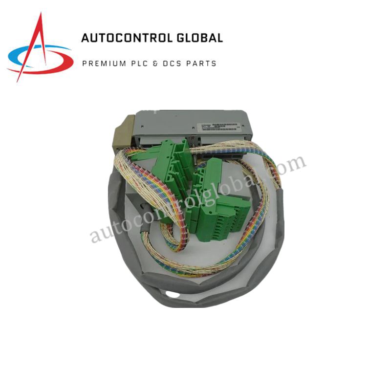 DM500SG FOXBORO | Industrial Control Module with Redundant Power Input