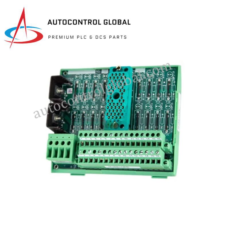 Triconex 9662-610 | Field Termination & Digital Output Module