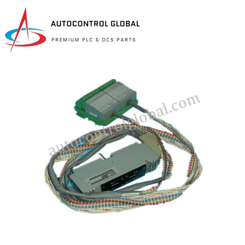 FBM9C/14C P0700HU | Foxboro Distributed Control Processor