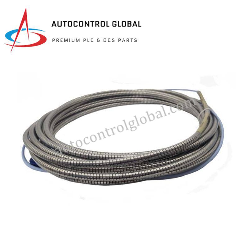 Bently Nevada 330930-065-00-CN | 3300 NSv Standard Extension Cable