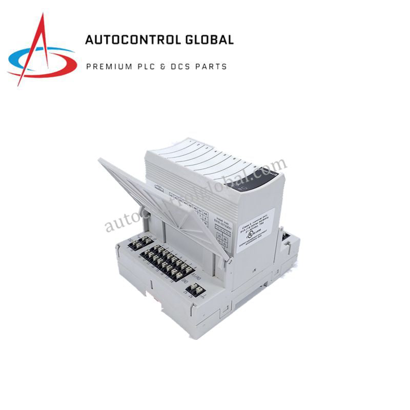 XF821A Module | Honeywell Analog Input for CIPer 50 Systems